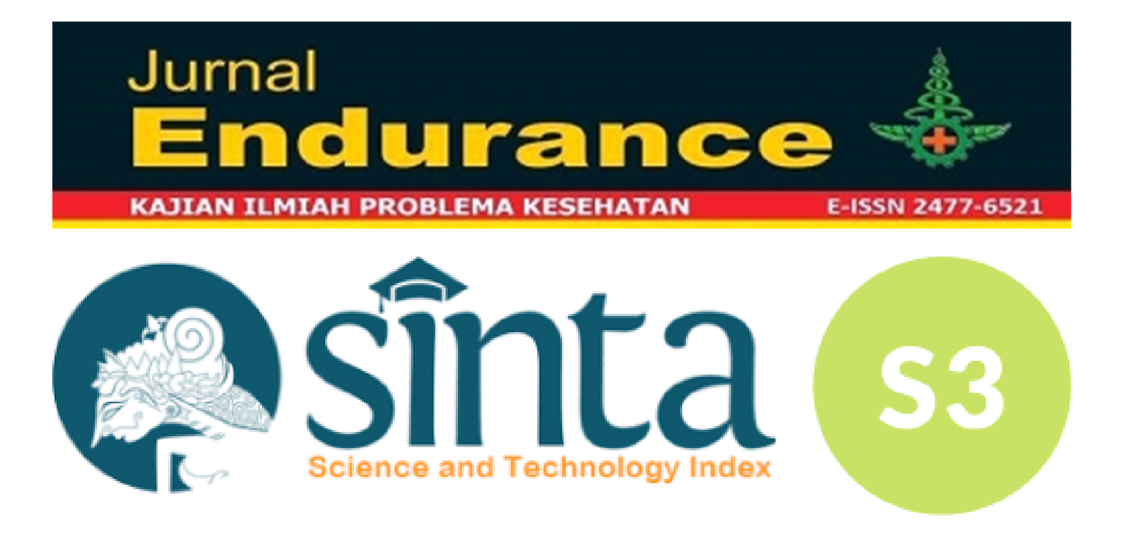 SINTA ENDURANCE
